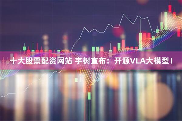 十大股票配资网站 宇树宣布：开源VLA大模型！